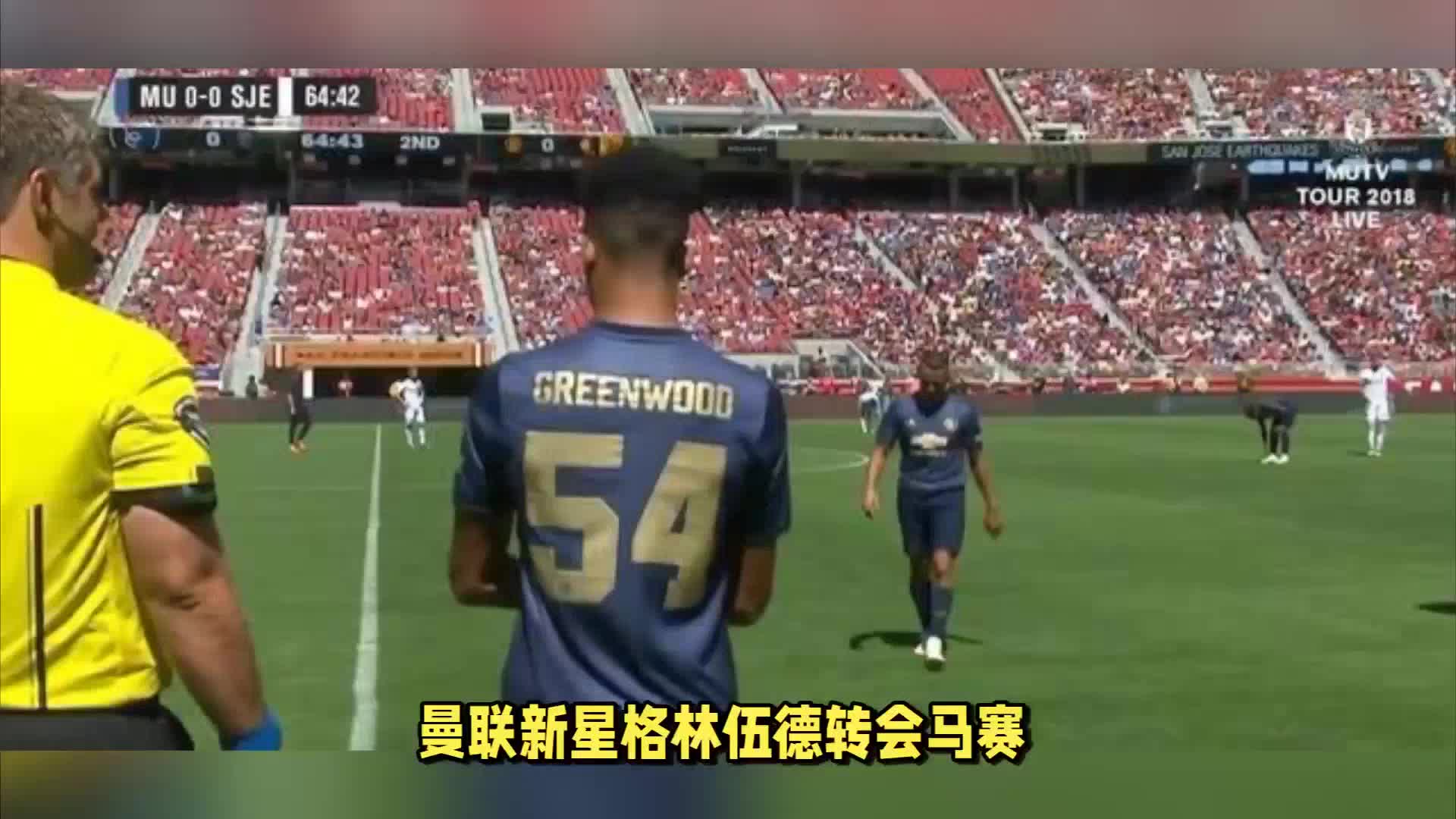 维斯